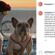 Lady Gaga's Alleged Dognappers Are Going to Court